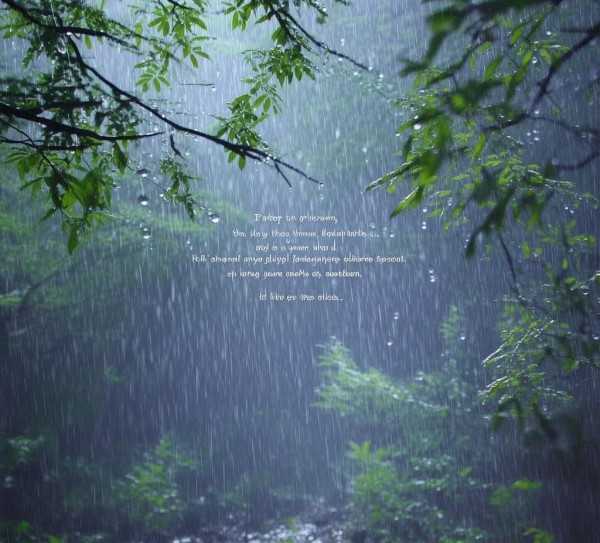 雨的旋律，雨中那些动人的诗意句子,雨的丝语，那些关于雨的动人句子,自然,诗意,爱情,第1张