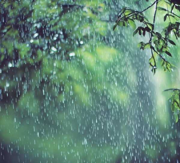 雨的轻吟，诗意盎然的雨中佳句汇编,雨的丝语，那些形容雨的动人句子,自然,第1张