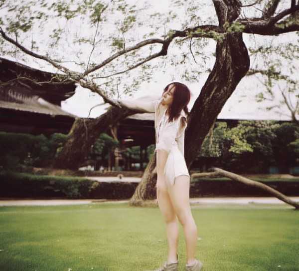 伐檀，古韵深处的人生批判与哲理探微