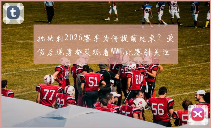 托纳利2026赛季为何提前结束?受伤后现身都灵观看WWE比赛引关注